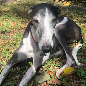 Meet your Posher, Marian